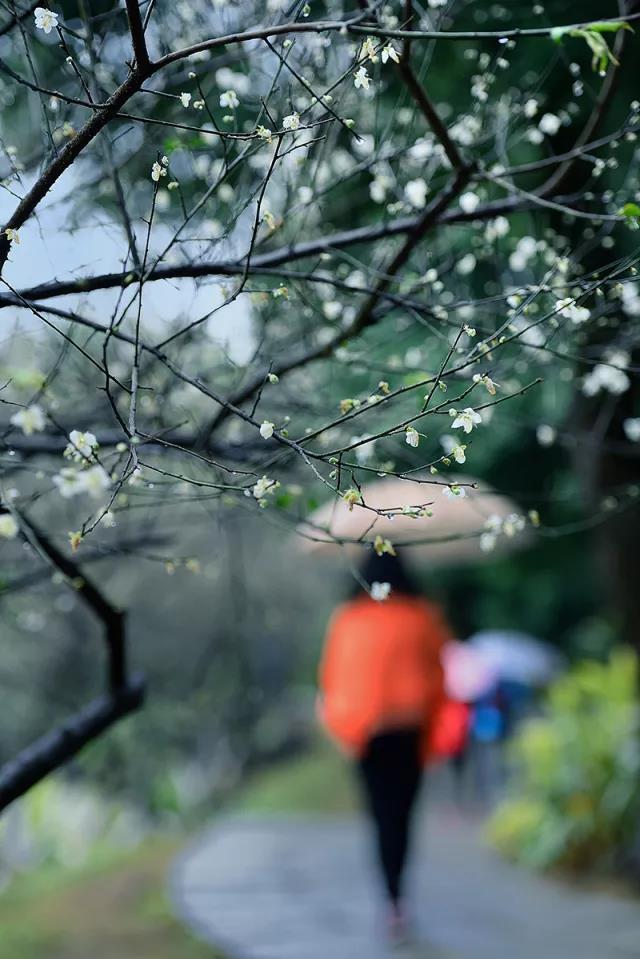 微信圖片_20180314150034.jpg 微信圖片_20180314150034.jpg