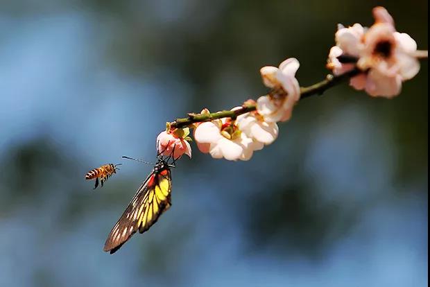 微信圖片_20180314150226.jpg 微信圖片_20180314150226.jpg