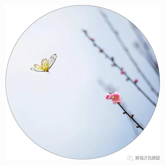 微信圖片_20180314150250.jpg 微信圖片_20180314150250.jpg